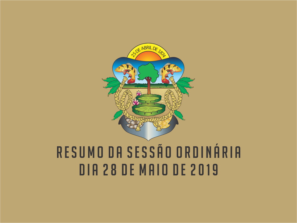 RESUMO DA SESSÃO ORDINÁRIA DO DIA 28 DE MAIO DE 2019
